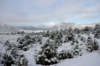 Winter Storm Clearing